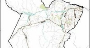 Transparency in Forest Management State of Pará #1