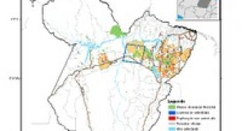 Transparency in Forest Management 2008 to 2009