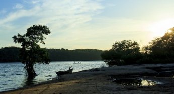 Governança de fundos ambientais e florestais na Amazônia Legal