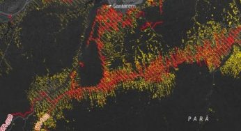 Roads, deforestation, and the mitigating effect of protected areas in the Amazon