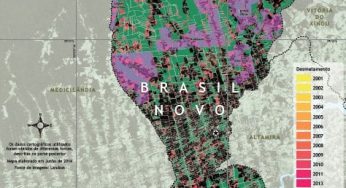 Desmatamento e Degradação Florestal em Brasil Novo – Pará (2000-2013)