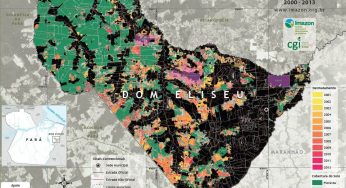 Desmatamento e Degradação Florestal em Dom Eliseu – Pará (2000-2013)