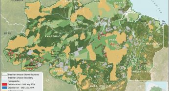 Deforestation Report (SAD) July 2014