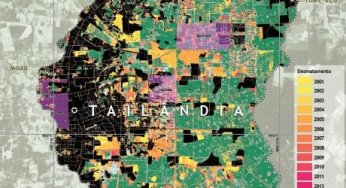 Desmatamento e Degradação Florestal em Tailândia – Pará (2000-2013)