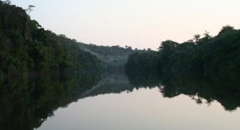 In Brazil, Conservationists Worried New Congress Could Harm Amazon
