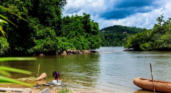 Áreas protegidas do Brasil sob ameaça