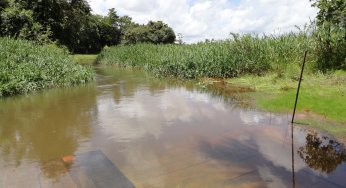 Estudo aponta falha no cumprimento de legislação ambiental para proteger florestas em torno de rios