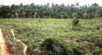 Falhas na arrecadação de imposto sobre a terra facilitam especulação e desmatamento na Amazônia