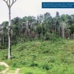 ITR img 02 1 150x150 - Baixo preço da terra pública para regularização fundiária estimula grilagem, desmatamento e conflitos agrários