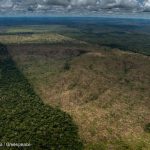 GP1SXABJ Web size with credit line 150x150 - Desmatamento da Amazônia chega a quase 10 mil km² de janeiro a outubro e invade maior bloco de áreas protegidas do mundo