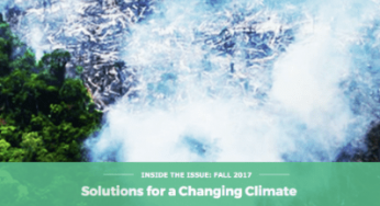 Arresting Tropical Deforestation: Complementary Approaches in the Amazon