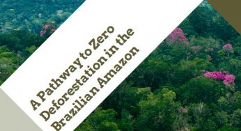A Pathway to Zero Deforestation in the Brazilian Amazon