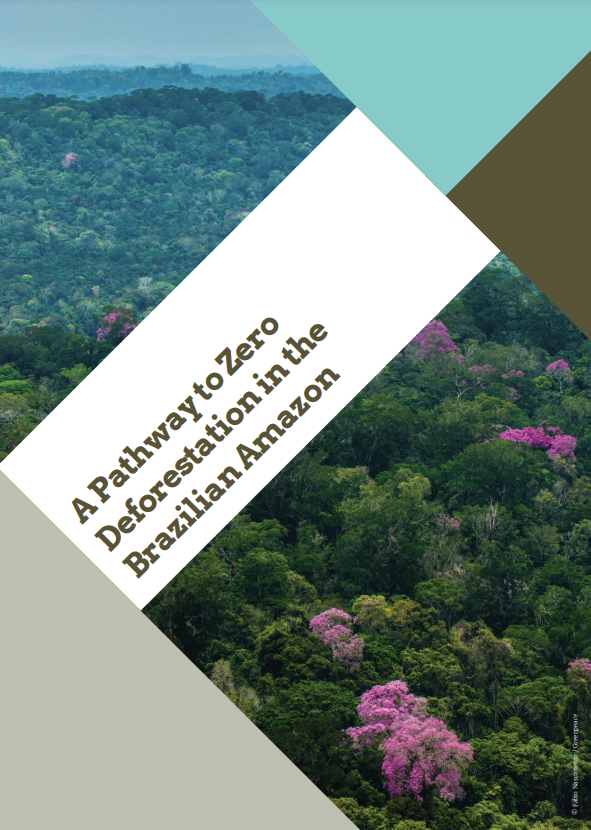 ZR EN - Desmatamento zero na Amazônia: como e por que chegar lá | A Pathway to Zero Deforestation in the Brazilian Amazon