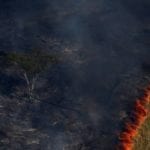 queimada O Globo 150x150 - Brasil termina 2017 com número recorde de queimadas desde 1999