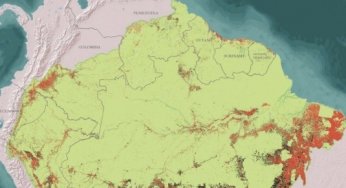 RAISG study reveals that Amazon deforestation tends to decrease but remains too high