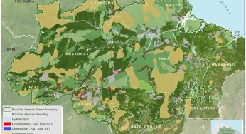 Deforestation report for the Brazilian Amazon (June 2015) SAD