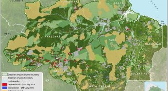 Deforestation report for the Brazilian Amazon (July 2015) SAD