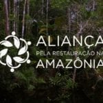 Captura de Tela 2017 02 01 as 10.24.24 150x150 1 - Aliança pela restauração na Amazônia