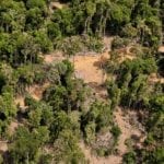 Captura de Tela 2017 05 29 as 10.36.57 150x150 1 - Ambientalistas pedem que Congresso rejeite nova proposta de Temer que reduz  floresta no Pará