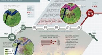 Infográfico: Aumento da Degradação Florestal na Amazônia (julho 2015 a junho 2016)