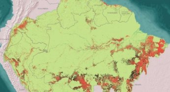Desmatamento na Amazônia (1970-2013)