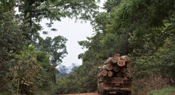 Sistema de Monitoramento da Exploração Madeireira (Simex): Estado do Pará 2015-2016