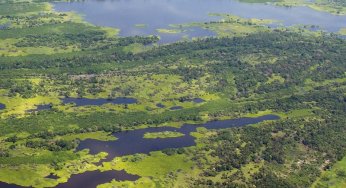Desmatamento Zero no Pará: desafios e oportunidades