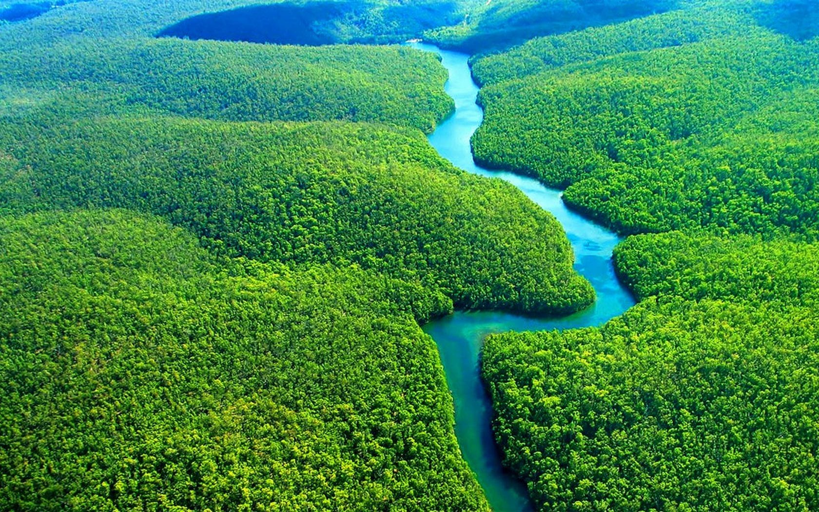 Quase metade da Amazônia no país é área de preservação - Imazon