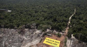 Desmatamento: A falta de água começa aqui