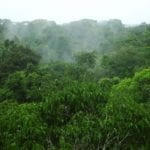 iStock 000006001246Small 150x150 - Unidades de Conservação mais desmatadas da Amazônia Legal ( 2012-2015)