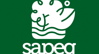 Boletim SAPEG na área