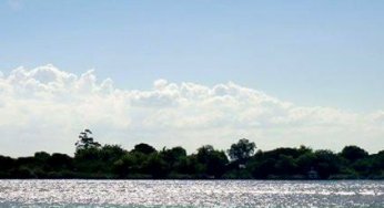 Seminário Acesso à Informação e Participação na Gestão Agroambiental