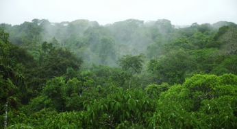#ImazonInTheMedia: Brazil’s Amazon: Surge in deforestation as military prepares to deploy