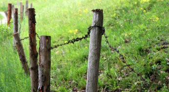 10 Essential Facts About Land Tenure Regularization in the Brazilian Amazon