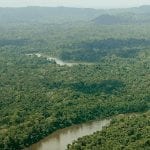 EstadoAps desmatamento 150x150 1 - Imazon divulga dados do desmatamento na Amazônia e aponta aumento em comparação com janeiro do ano passado