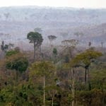 OEstadoAPs DegradacaoFlorestal 11 150x150 - O Estado das Áreas Protegidas: degradação florestal