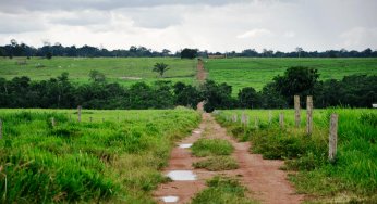 Transparência de órgãos fundiários estaduais na Amazônia Legal