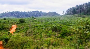 #ImagemDoDia: Quem mais desmata a Amazônia?