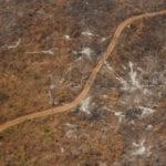 estrada 150x150 - Áreas protegidas da Amazônia enfrentam quase 80 mil km de estradas irregulares