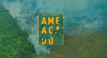 Nosso patrimônio ameaçado: Como as Unidades de Conservação na Amazônia estão em risco