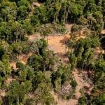 AAG1655 Adriano Gambarini 150x150 - #ImagemDoDia - Alertas de desmatamento do SAD indicam forte pressão sobre a Terra Indígena Apyterewa