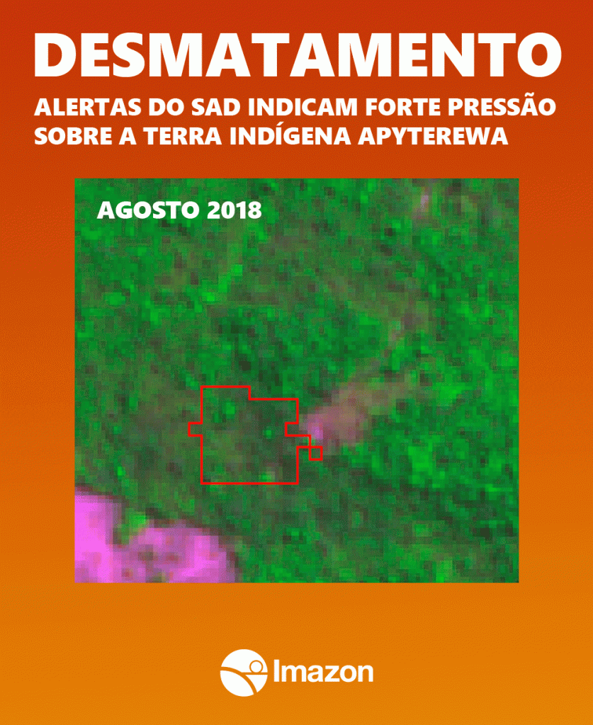 Desmatamento TI ImagemDoDia 837x1024 - #ImagemDoDia - Alertas de desmatamento do SAD indicam forte pressão sobre a Terra Indígena Apyterewa