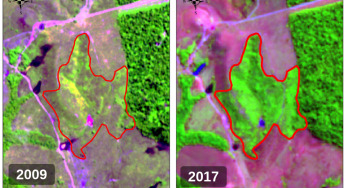 #ImagemDoDia: Alta resiliência da floresta amazônica favorece recomposição de passivos florestais
