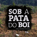 Capturar 150x150 - Sob a Pata do Boi - Como a Amazônia vira pasto