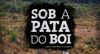 Sob a Pata do Boi – Como a Amazônia vira pasto