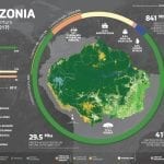 MBI pan amazonia LA alta 150x150 - Primeira coleção de mapas anuais de cobertura e uso do solo da Pan-Amazônia (2000 - 2017) é lançada