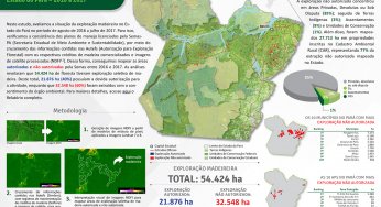 Sistema de Monitoramento da Exploração Madeireira (Simex): Estado do Pará 2016-2017