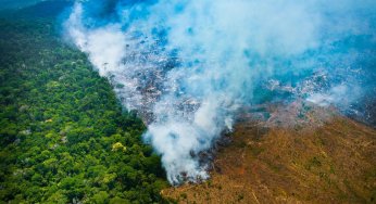 #ImazonNaMídia: O Governo não deve premiar os ladrões de terra na Amazônia (El País Brasil)