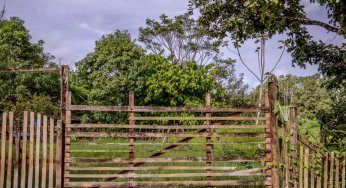Nota Técnica sobre o Projeto de Lei Estadual nº 129/2019 que altera as regras para regularização fundiária no Pará