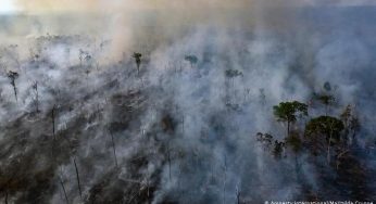 After the Amazon Fires, What’s Next for Stopping Deforestation? (Skoll Foundation)